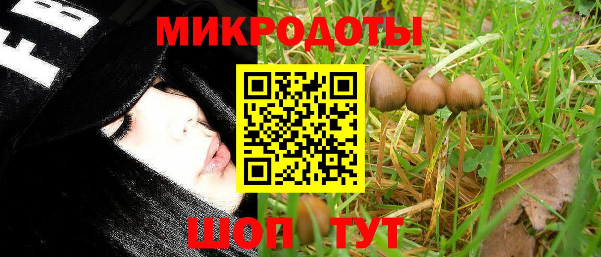 Галлюциногенные грибы мухоморы Гурьевск