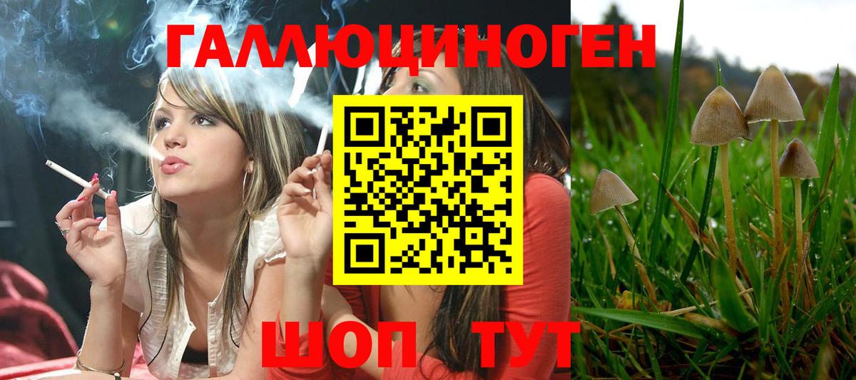 что такое наркотик  Вход с VPN  Псилоцибиновые грибы Psilocybine cubensis  Гурьевск  Галлюциногенные грибы Psilocybine cubensis 