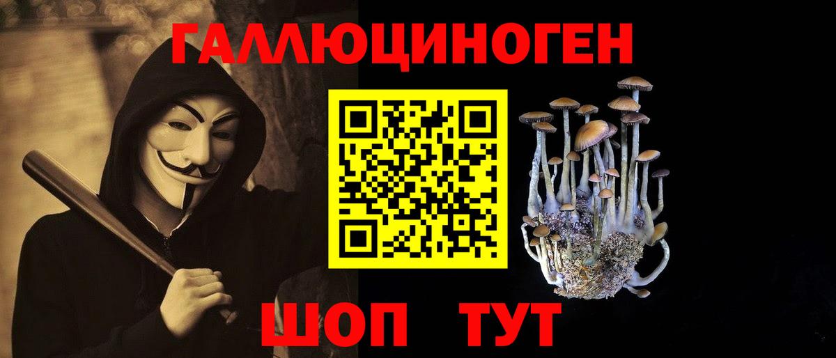 APVP Гурьевск